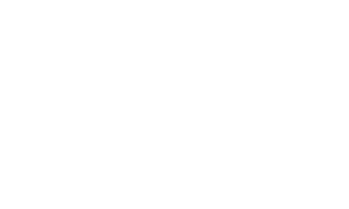 Logo Planet Soft B